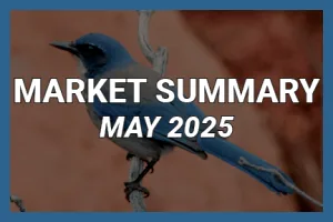 Market Summary: May 2025